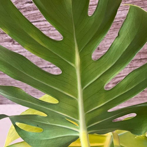 Imagen de WhatsApp 2024-12-18 a las 23.06.19_d692b405