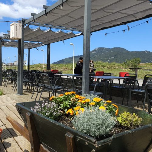 Imagen de WhatsApp 2024-12-18 a las 23.20.17_89d43e52